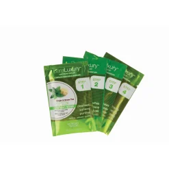 BareLuxury Detox Ginger & Green Tea 4 Pack - Case Pack of 48