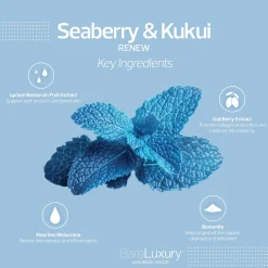 BareLuxury Renew Seaberry & Kukui Lotion (8 fl. oz. | 240 ml.) - Case Pack of 24