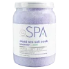 BCL SPA 64 oz. Dead Sea Salt Soak Lavender + Mint