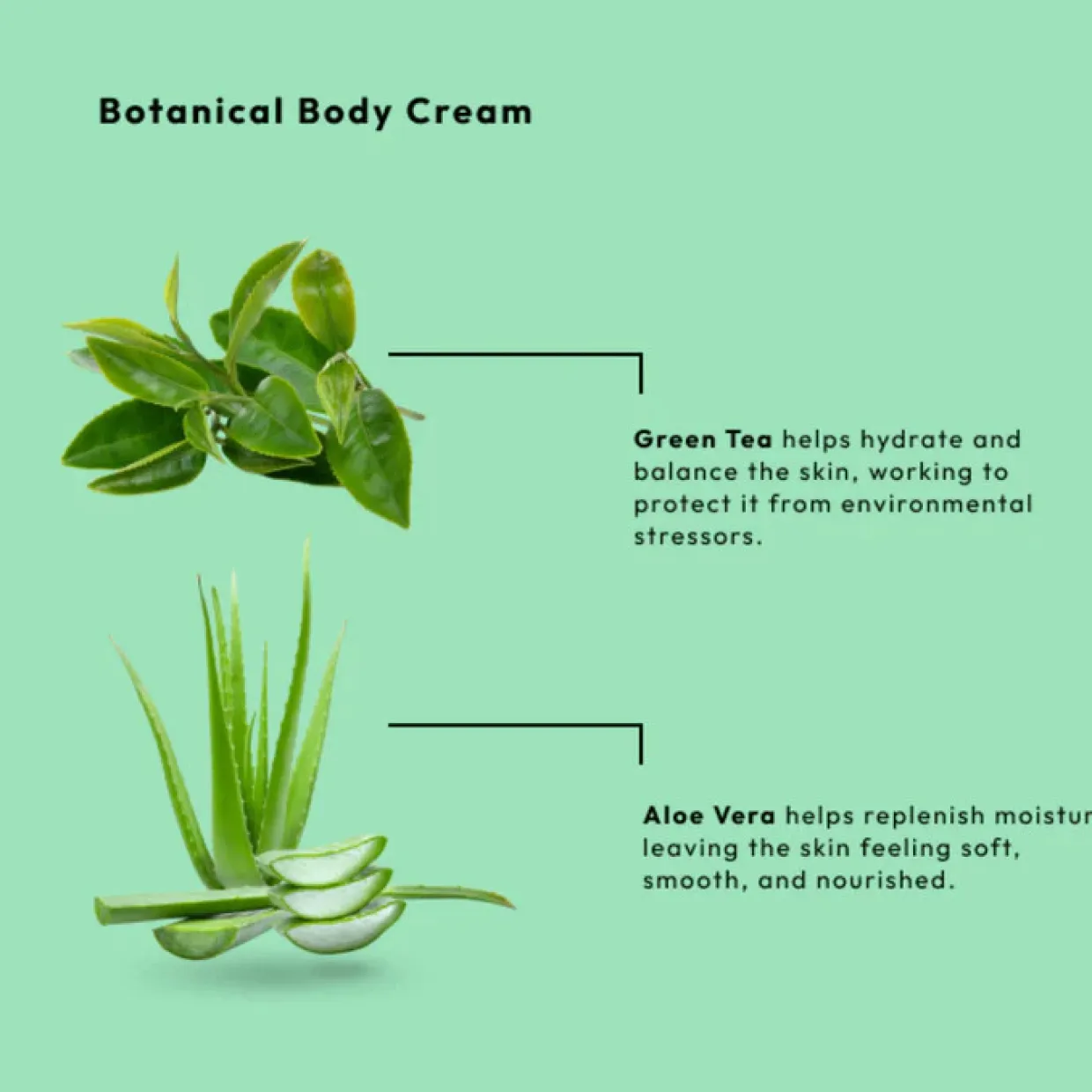 BCL Spa Revive Vegan Hand and Body Cream, Green Tea Scented