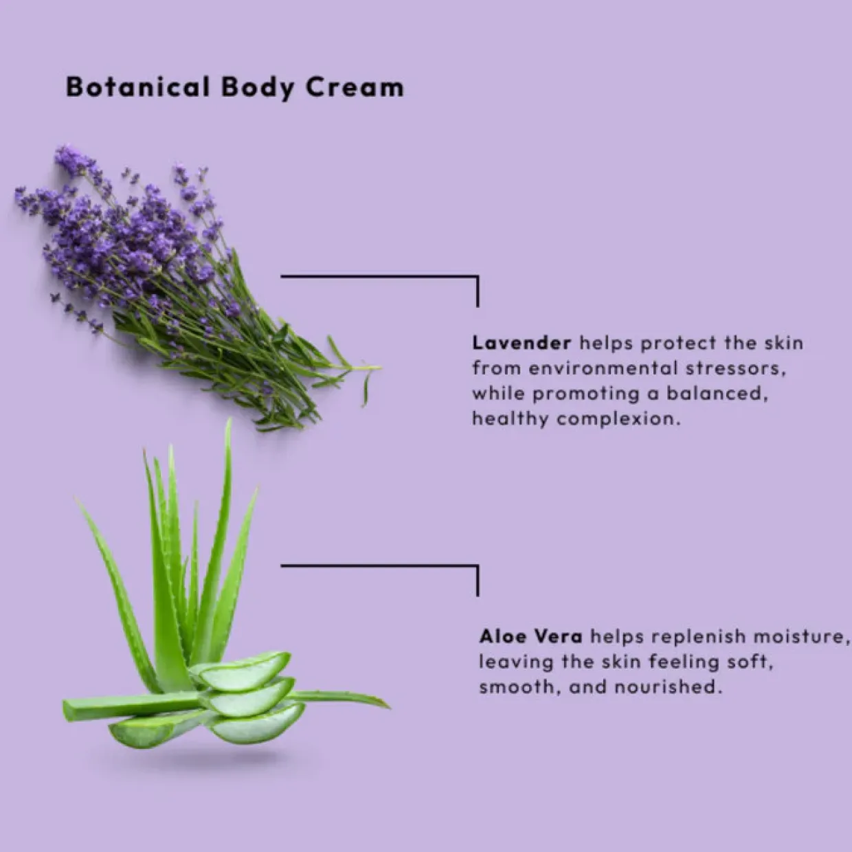 BCL Spa Serenity Vegan Hand and Body Cream, Lavender Scented