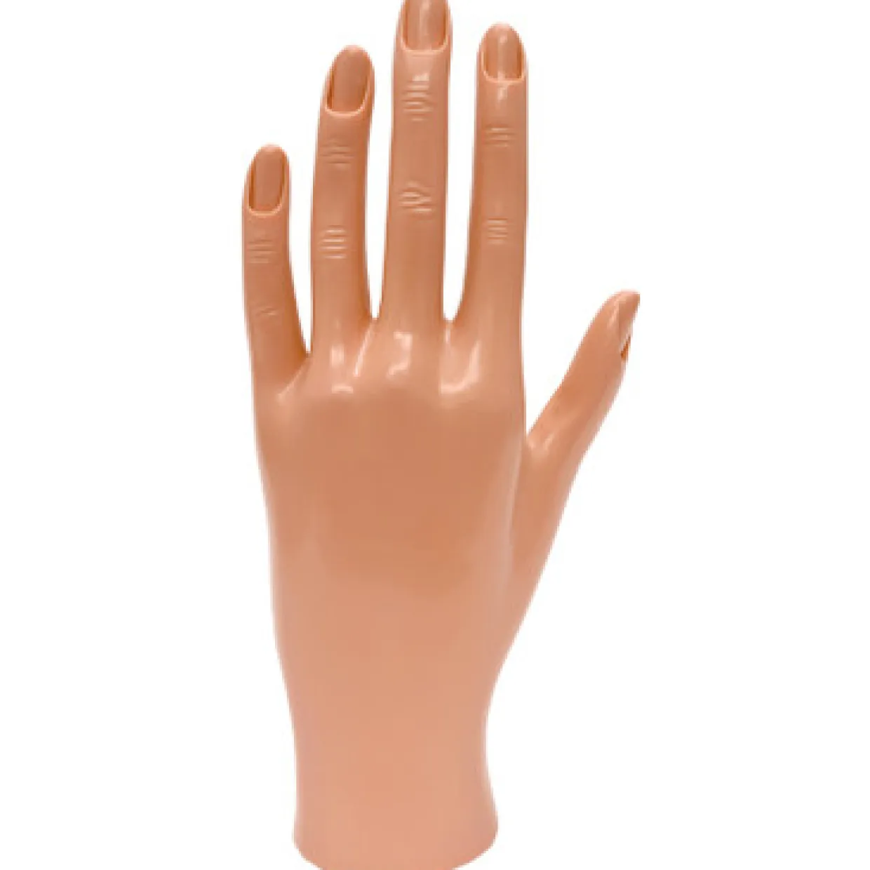 DL Pro Practice Hand with Cuticled Fingers