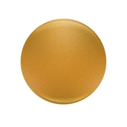 Entity "Frost Impressions" Duo - Includes Gel Polish and Lacquer - Gold Yellow Pearl
