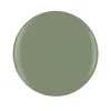Gelish "So Check It" Duo, Sage Green Creme - Includes gel polish and lacquer